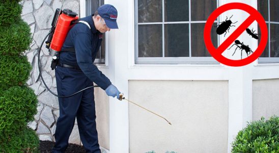 Güneysınır Hamam Böceği İlaçlama böcek ilaçlama ve haşere kontrolü — ilaclama-tr.com